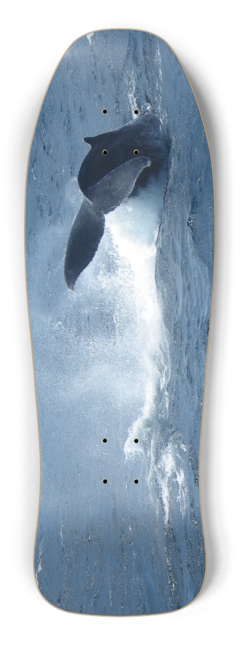 Whale Tail Shredder Shape