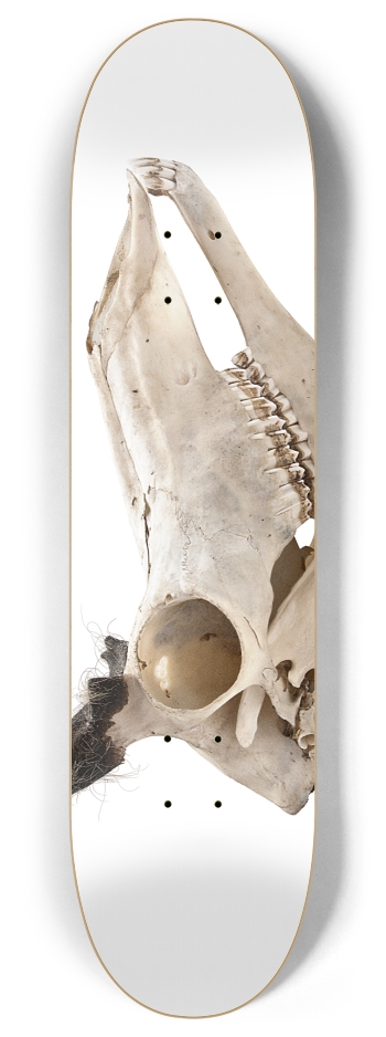 goat skull crop 8 Inch Skateboard Deck