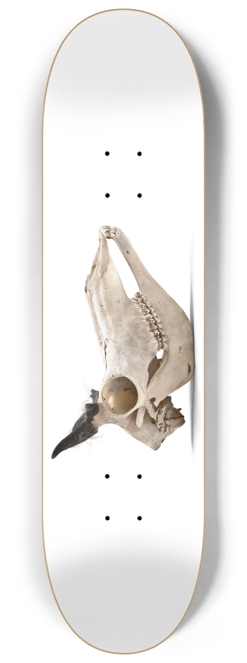 goat skull profile 8-1/4 Skateboard Deck