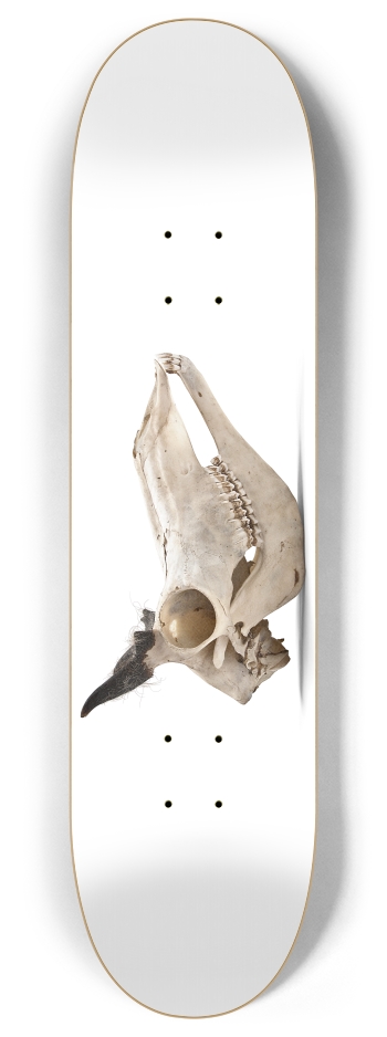 goat skull profile 8 Inch Skateboard Deck