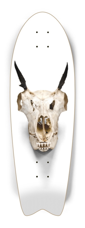 goat skull straight on Fish Tail