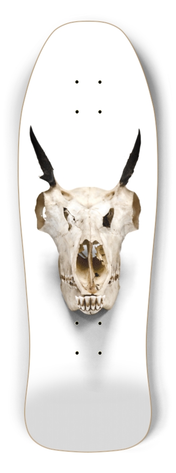 goat skull straight on Shredder Shape