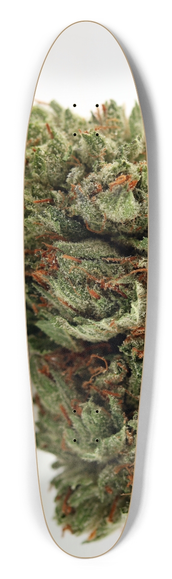 HIndu Longboard Shape