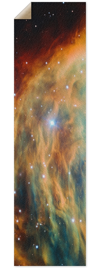 Medusa 9 x 33 Inch Griptape