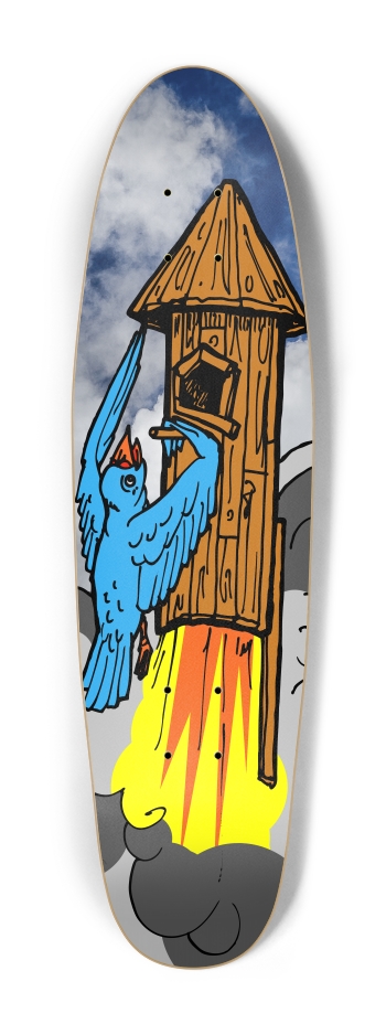 bird rocket