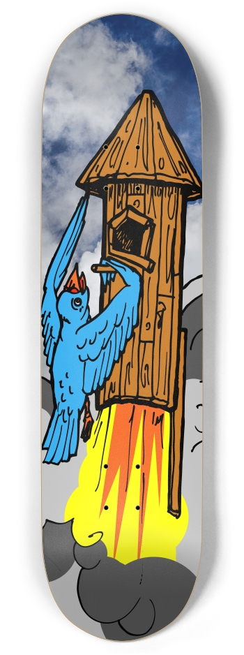 bird rocket