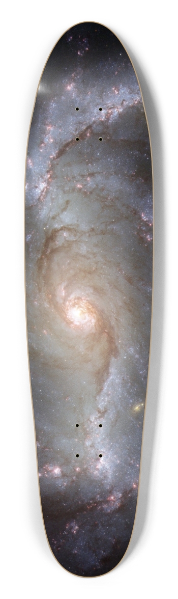 Spiral Longboard Shape