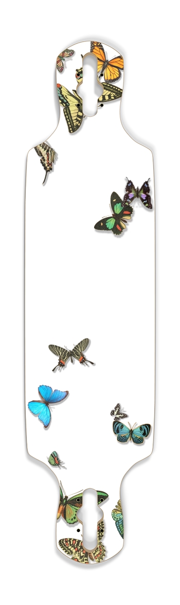 Butterflies