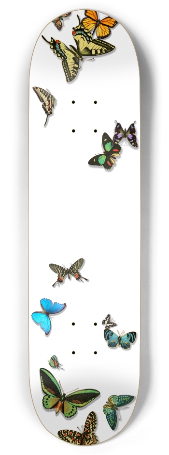 Butterflies