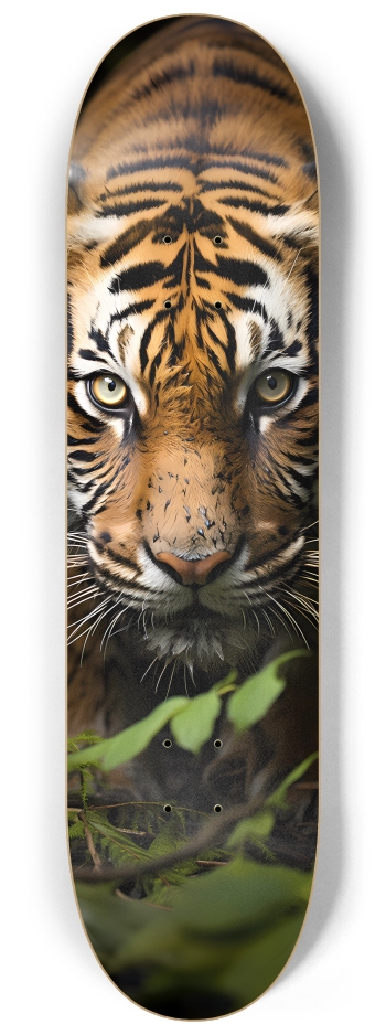 Crouching Tiger 8-1/4 Skateboard Deck