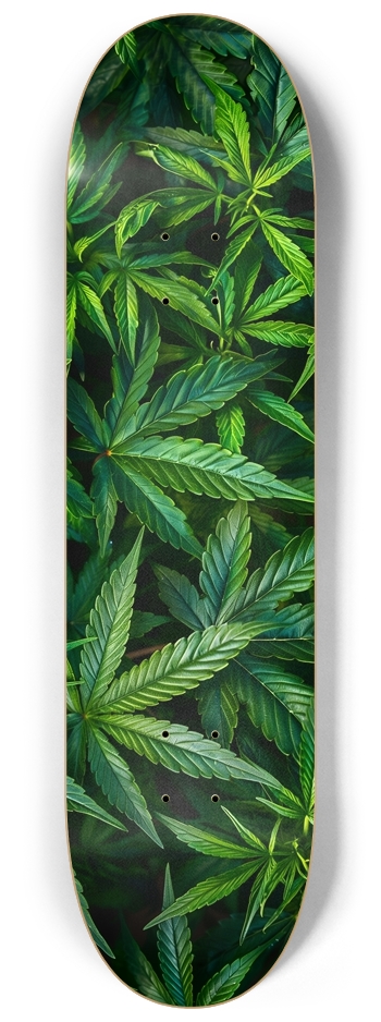 Cannabis jungle 8-1/4 Skateboard Deck