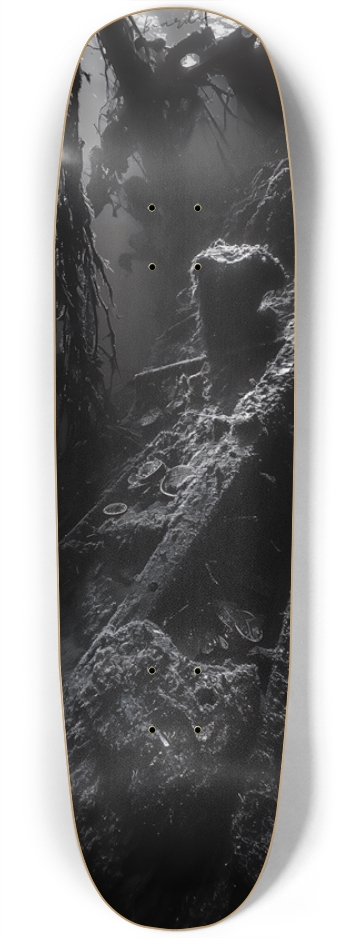 Sea Wreck Square Nose