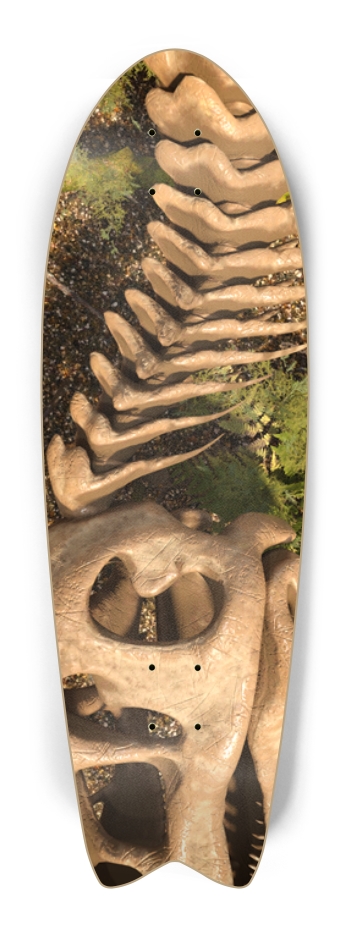 Tyrannosaurus Rex Skeleton