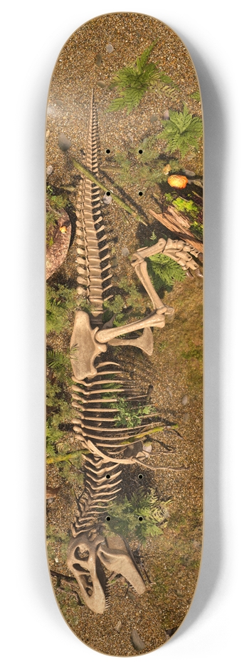Tyrannosaurus Rex Skeleton 8 Inch Skateboard Deck