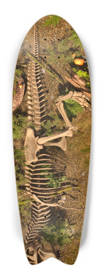 Tyrannosaurus Rex Skeleton