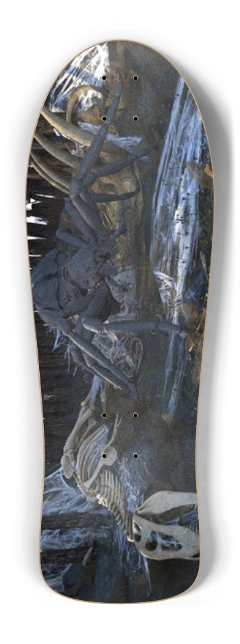 The Spiders Web Old School Shape