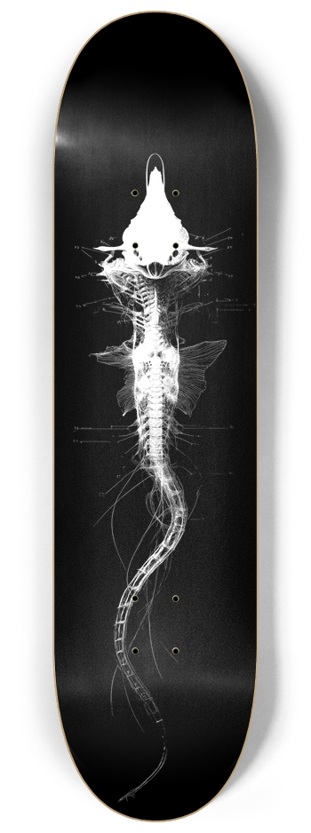 (White is wood) Alien Fish 8-1/4 Skateboard Deck
