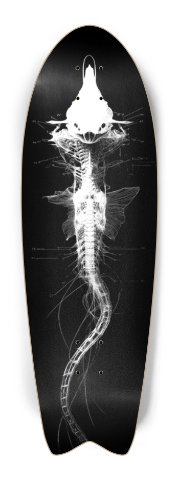 (White is wood) Alien Fish