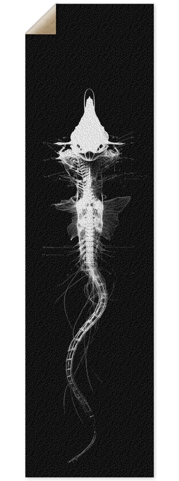 (White is wood) Alien Fish