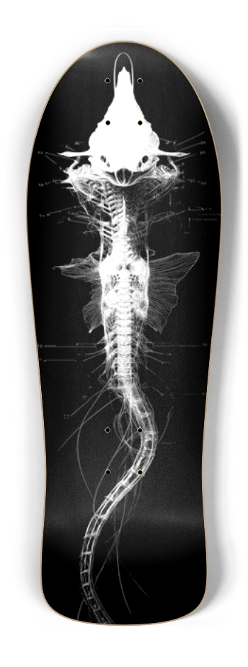 (White is wood) Alien Fish