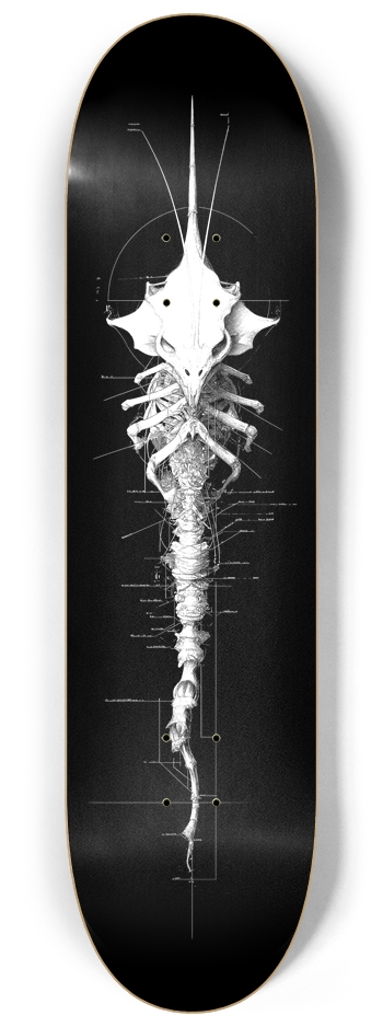 (White is transparent) Insectoid 8-1/4 Skateboard Deck