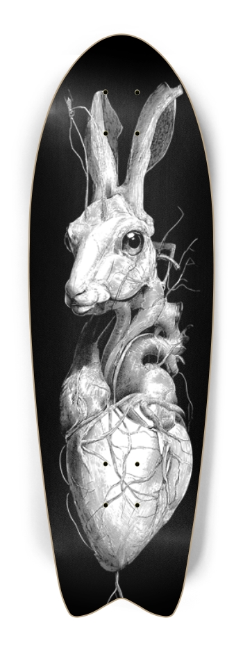 (White is wood deck) Alien Rabbit