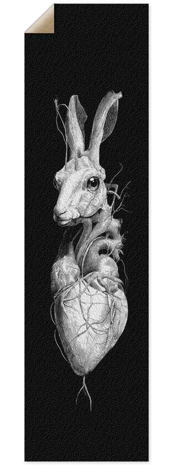 (White is wood deck) Alien Rabbit