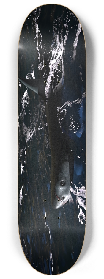 Shark in open waters 8-1/4 Skateboard Deck