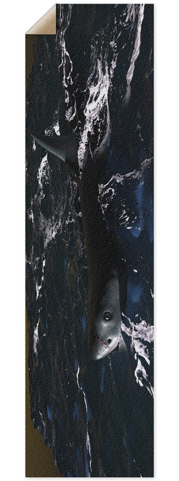 Shark in open waters