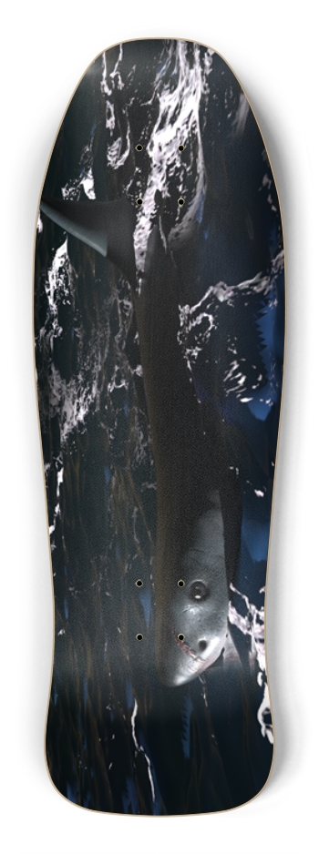 Shark in open waters