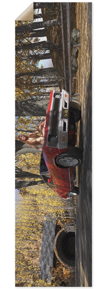 Redhead on car hood