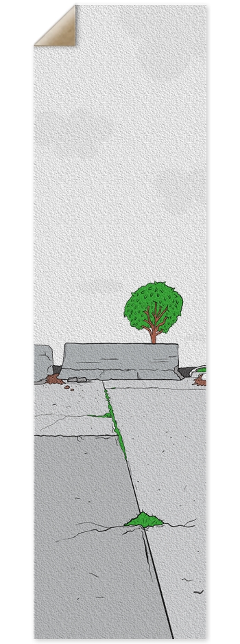 Skate Spot (Transparent) 9 x 33 Inch Griptape