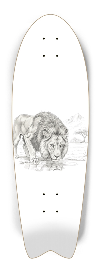 Lion Drinking Sketch