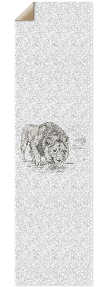 Lion Drinking Sketch