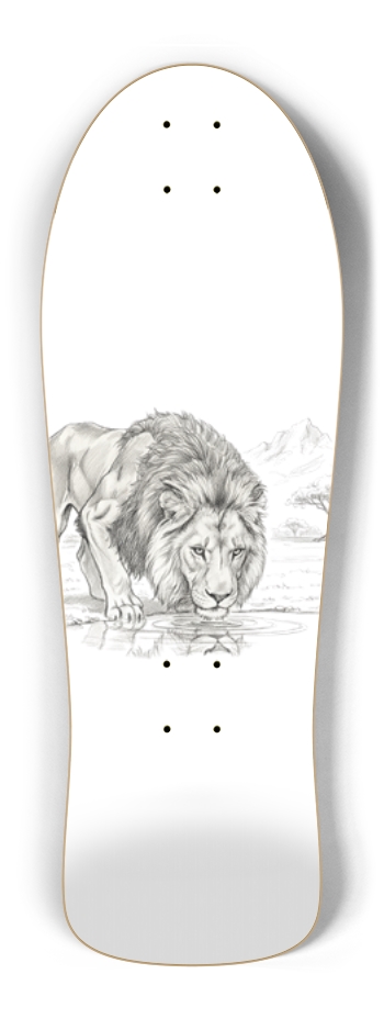 Lion Drinking Sketch