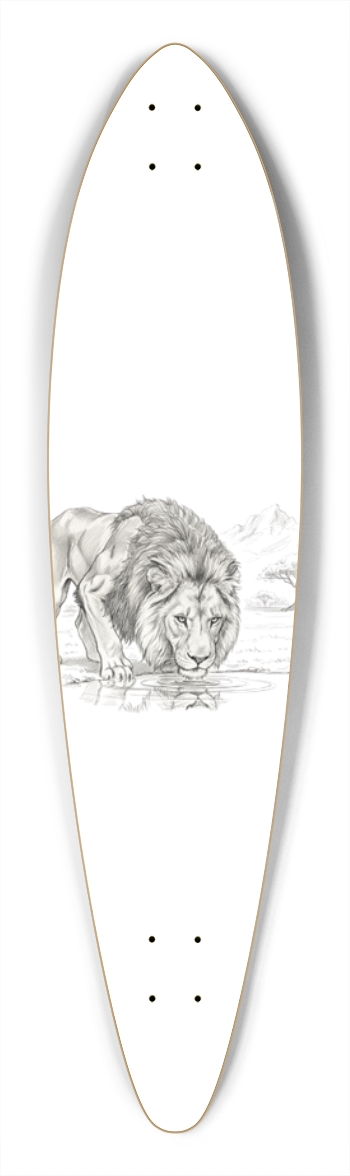 Lion Drinking Sketch