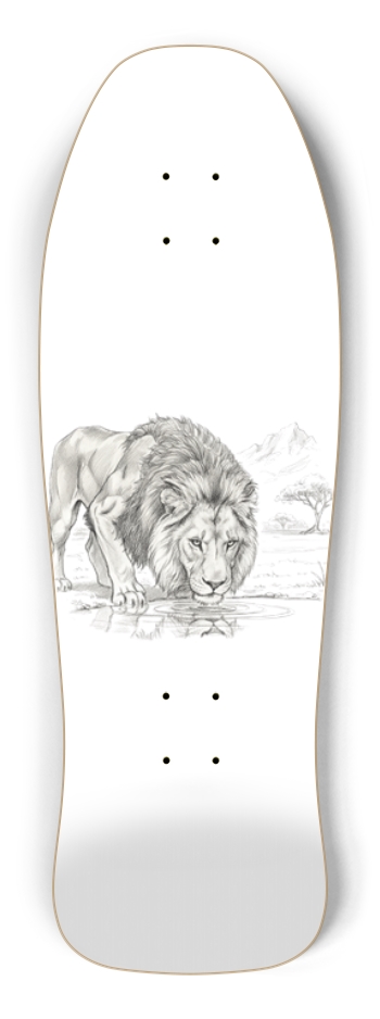 Lion Drinking Sketch