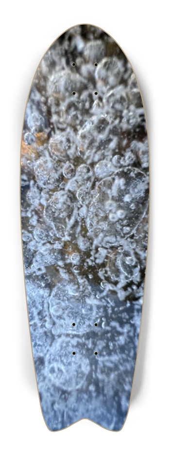 South Platte River Colorado