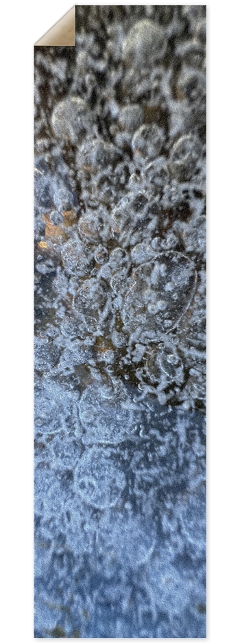 South Platte River Colorado