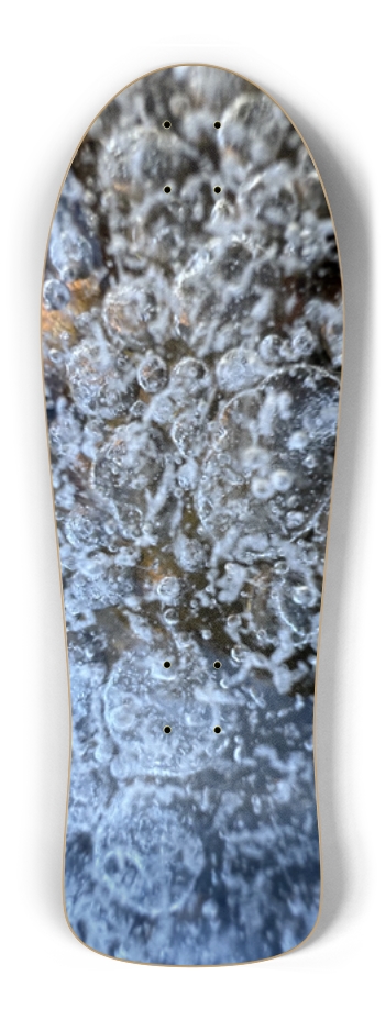 South Platte River Colorado