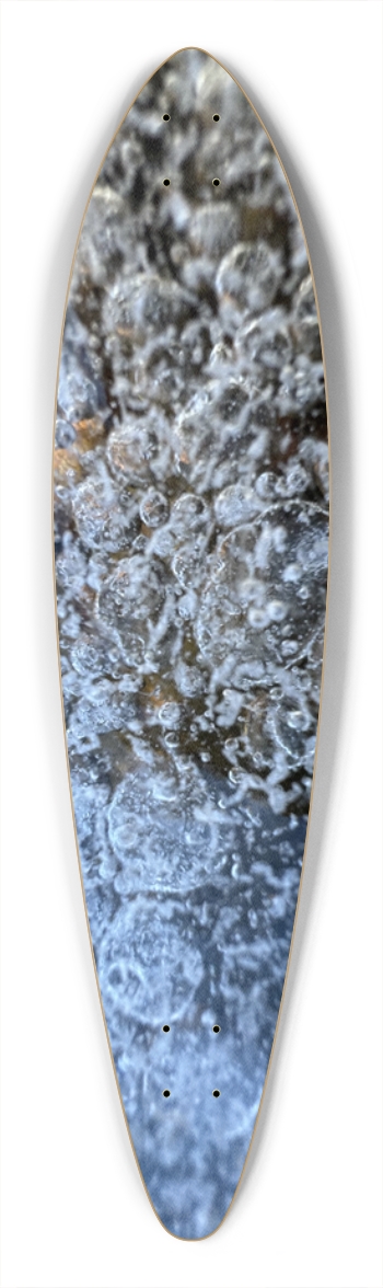 South Platte River Colorado