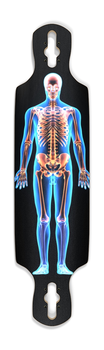 X-Ray Skeleton