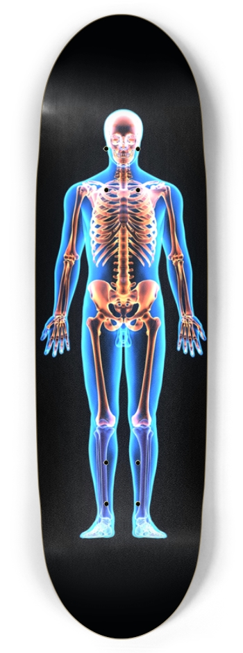 X-Ray Skeleton 
