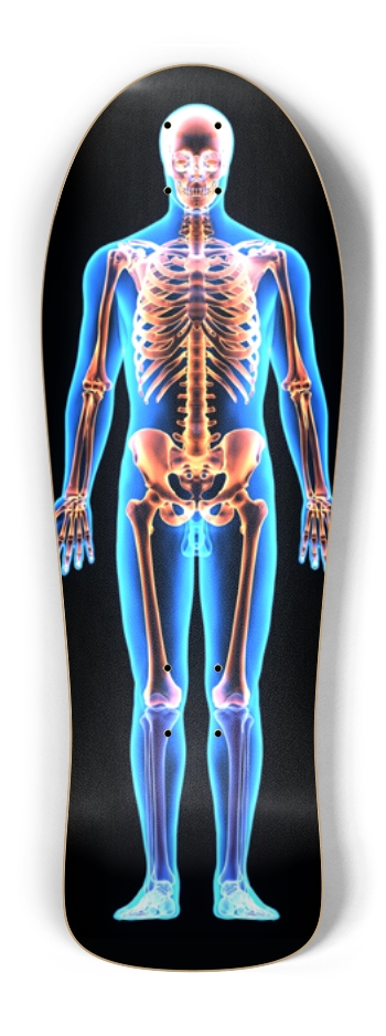 X-Ray Skeleton 