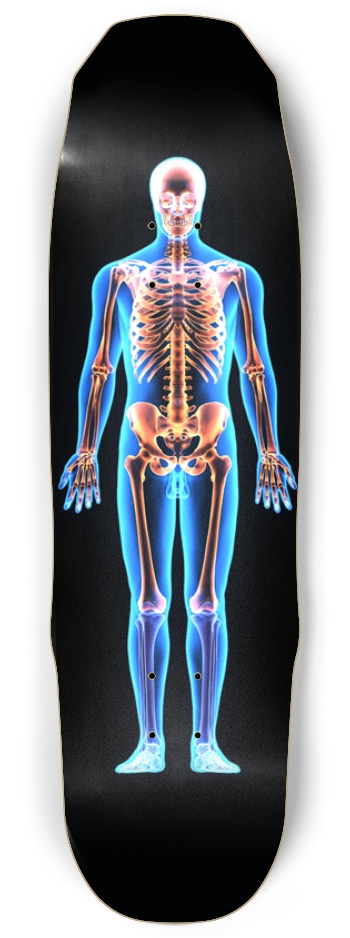 X-Ray Skeleton 