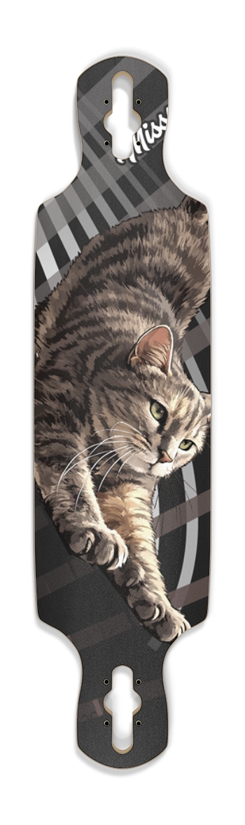 missy_cat