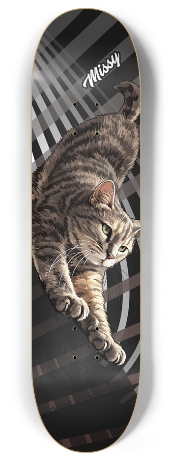missy_cat
