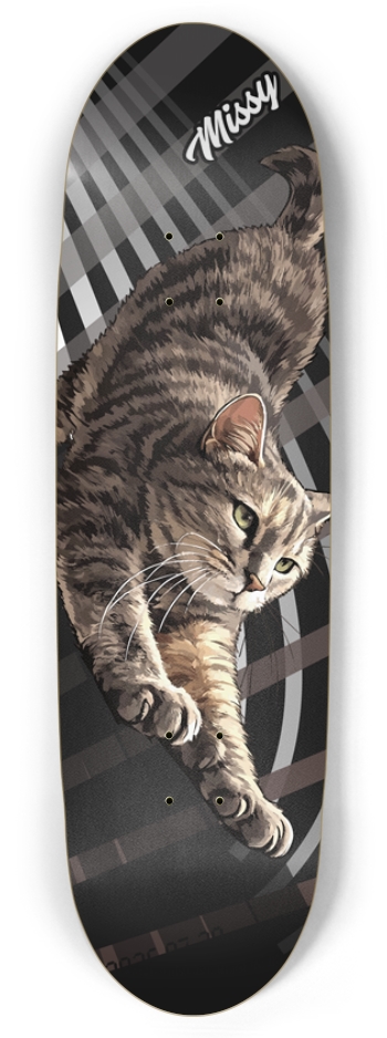 missy_cat