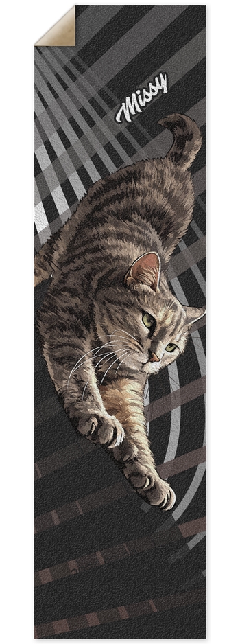 missy_cat