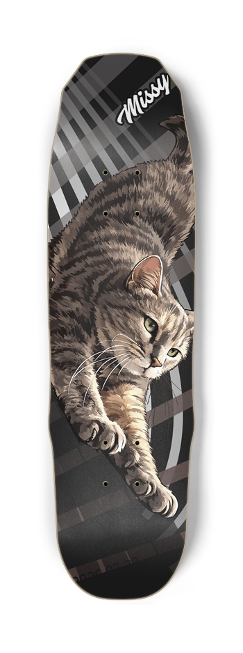 missy_cat